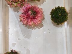 -今日陶艺(富力广场店)