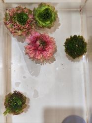 -今日陶艺(富力广场店)