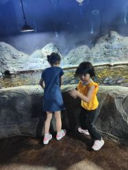 点击看大图 -卡通尼·Safari非洲探索乐园·生日会(金桥国际商业广场店)