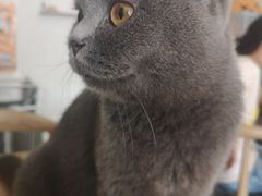 -平行世界·猫咖(首经贸店)