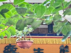 -缘生态云南菜·野生菌庭院餐厅(华侨城店)