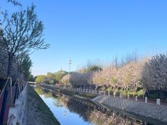 -海棠花溪(元大都城垣遗址公园)