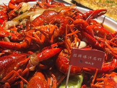 -杨氏青龙虾·羊蝎子(托乐嘉店)