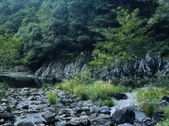 -龙湾潭国家森林公园