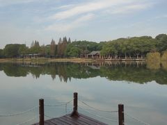 -新洲生态园