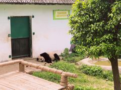 -无锡动物园·太湖欢乐园