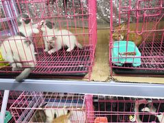 -塔湾兴顺国际观光夜市