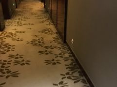 -常州环球恐龙城维景国际大酒店