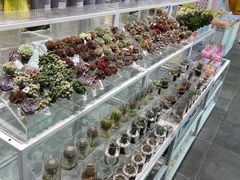 -KKV(常州新北万达广场店)