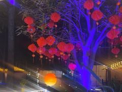 -二荆条·蜀鲜汇城市森林火锅