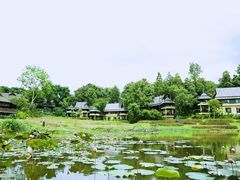 -四季酒店下午茶