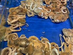 -三亚火车头万人海鲜广场