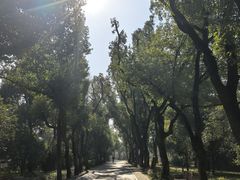 -东湖落雁景区