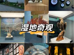 -中国湿地博物馆