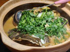 -九道菜有鸡鱼头(石鼓路店)