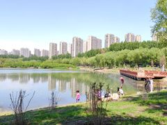 -丁香湖公园