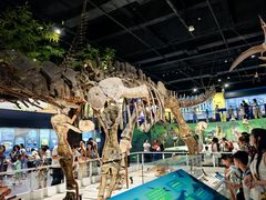 -国家自然博物馆