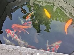 -西安市广仁寺