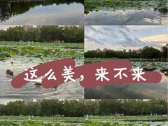 -太阳宫公园