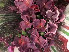 -南京金牛湖风景区