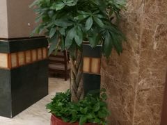 -天明山温泉大酒店