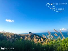 -东极岛景区
