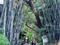 -中山公园(石岐街道)