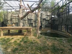 -石家庄市动物园