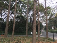 -采石矶景区