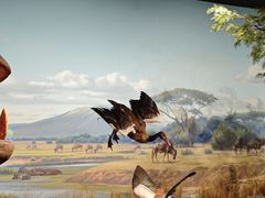 -陕西自然博物馆