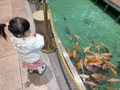 -金河半岛园林酒家(金融城店)