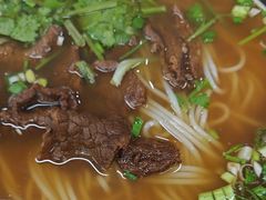 -小马牛肉面·牛骨熬制(南京博物院店)