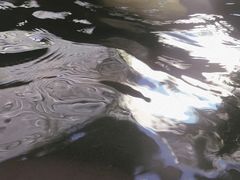 -南宫温泉水世界