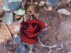 -桤木河湿地公园