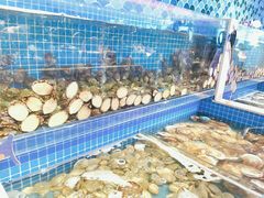 水产区-乔哥铭洋海鲜自助(皇城恒隆广场店)