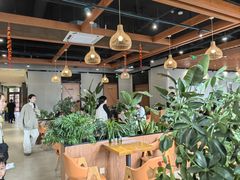 -上海野生动物园老虎餐厅