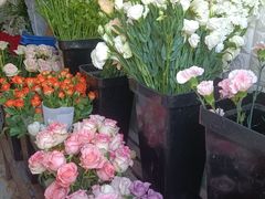 -雪蔓之鲜花气球派对(家佳源时代中心店)