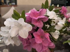 -湖泉水云间餐厅·弥勒地道菜(B座店)