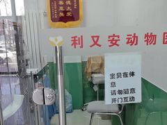 -利又安动物医院··老年病·猫科犬科·中兽医
