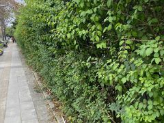 -茅庐·川粤精品私房菜(金沙遗址店)