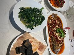 -杨氏青龙虾·羊蝎子(金盛路总店)