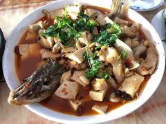 -煲来饱去冷水鱼