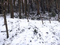 -太阳湾风景区
