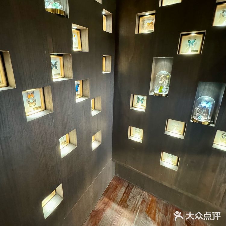 来大理古城被这家的司康拿捏住了