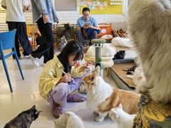-平行世界·猫咖(首经贸店)