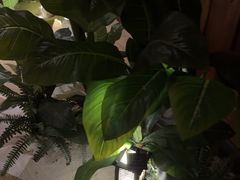 -紫莲花足道(柯桥古镇店)