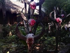 -云南民族村