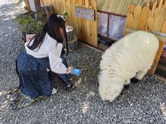 -HERRE·FARM 赫尔露营农场·团建聚会包场