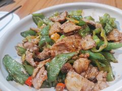 辣椒炒肉-金掌勺·锅包肉(双榆树店)