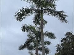 -云溪植物园